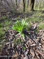  Bogue Chitto Road - Photo 20