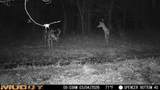  Bogue Chitto Road - Photo 3
