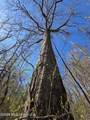  Bogue Chitto Road - Photo 32