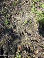  Bogue Chitto Road - Photo 33