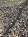  Bogue Chitto Road - Photo 8