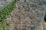  Ms-9 - Photo 12