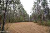  Frog Ridge Road - Photo 11