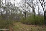  Frog Ridge Road - Photo 12