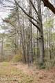  Frog Ridge Road - Photo 15