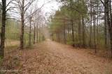  Frog Ridge Road - Photo 19