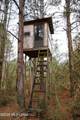  Frog Ridge Road - Photo 20