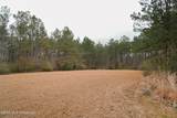  Frog Ridge Road - Photo 22