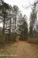  Frog Ridge Road - Photo 23