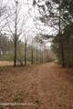  Frog Ridge Road - Photo 25