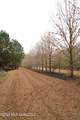  Frog Ridge Road - Photo 27