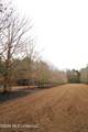  Frog Ridge Road - Photo 30