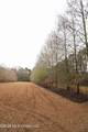  Frog Ridge Road - Photo 31