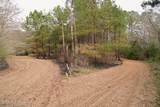  Frog Ridge Road - Photo 32