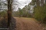  Frog Ridge Road - Photo 33