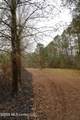  Frog Ridge Road - Photo 34