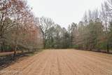  Frog Ridge Road - Photo 35