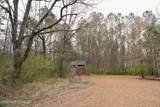 Frog Ridge Road - Photo 36
