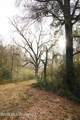  Frog Ridge Road - Photo 4