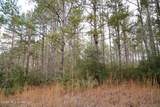  Frog Ridge Road - Photo 45