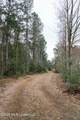 Frog Ridge Road - Photo 5