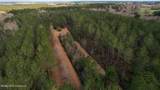 Frog Ridge Road - Photo 50