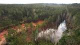  Frog Ridge Road - Photo 53