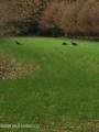  Frog Ridge Road - Photo 58
