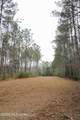  Frog Ridge Road - Photo 6