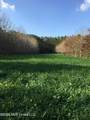 Frog Ridge Road - Photo 60