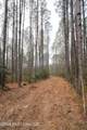  Frog Ridge Road - Photo 7