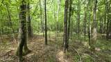 Pearson Road - Photo 13