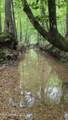  Pearson Road - Photo 19