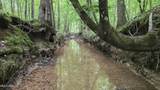  Pearson Road - Photo 2