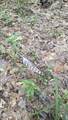  Pearson Road - Photo 27