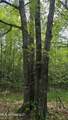  Pearson Road - Photo 9