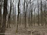 0 Old 4 Highway - Photo 23