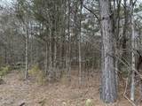 0 Old 4 Highway - Photo 28