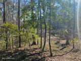 Lot 11 Turkey Creek Road - Photo 4