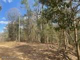  Turkey Creek Road - Photo 1