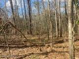  Turkey Creek Road - Photo 10