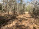  Turkey Creek Road - Photo 11