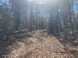  Turkey Creek Road - Photo 12