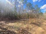  Turkey Creek Road - Photo 13