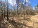  Turkey Creek Road - Photo 15