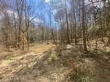  Turkey Creek Road - Photo 16