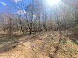  Turkey Creek Road - Photo 17