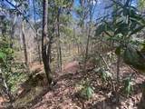  Turkey Creek Road - Photo 18
