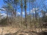  Turkey Creek Road - Photo 19