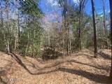  Turkey Creek Road - Photo 21